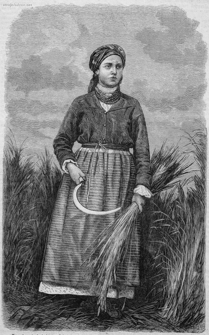 Żniwiarka z Wilanowa, fot. K. Bayer, Tygodnik Ilustrowany, t.14, nr.366, s.149, 1866