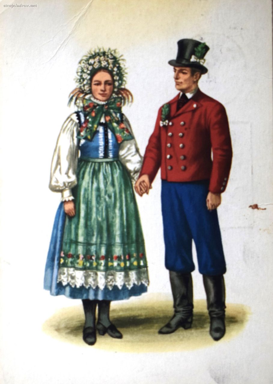 Pocztówka barwna „Weselny strój lubuski (międzyrzecko-babimojski), koniec XIX w”., graf. Maria Orłowska-Gabryś, Wyd. Biuro Wydawniczo-Propagandowe, przed 1978, pocztówka ze&nbsp;zbiorów prywatnych

Spodnie noszone do&nbsp;ubioru dąbrowickiego były ciemne, najczęściej granatowe. Szyto je&nbsp;głównie z&nbsp;cajgu, ponadto z&nbsp;płócien lnianych, tkanin bawełnianych oraz sukna. Wszystkie miały krój miejski, często podtrzymywały je&nbsp;gumowe szelki. Do&nbsp;początków XX&nbsp;w. noszono spodnie wpuszczane w&nbsp;buty z&nbsp;cholewami, potem zaś wypuszczane na&nbsp;buty. Jednak w&nbsp;strojach uroczystych i&nbsp;obrzędowych spodnie wpuszczano w&nbsp;buty jeszcze w&nbsp;połowie XX&nbsp;w. Najpowszechniej używanym w&nbsp;dni świąteczne obuwiem były czarne, skórzane buty z&nbsp;wysoką cholewą, która miała harmonijkę w&nbsp;okolicach kostki. Przed włożeniem buta, stopę owijano lnianą lub wełnianą onucą. 
Powszechną ozdobą męskiego ubioru odświętnego były zegarki kieszonkowe, których dewizki, wyraźnie widoczne na&nbsp;ciemnych kamizelkach, świadczyły o&nbsp;zamożności. 
