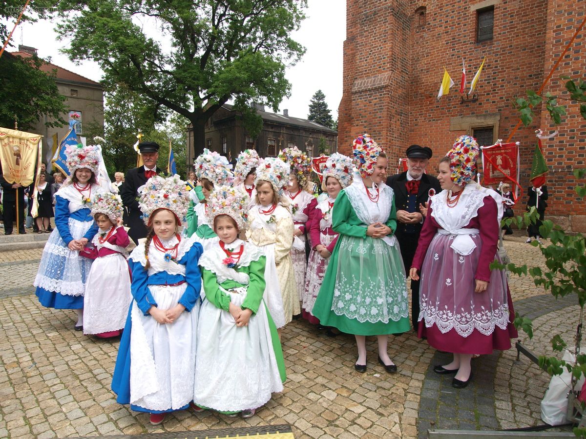 Bamberki przed katedrą

Fotografię udostępniło Towarzystwo Bambrów Poznańskich