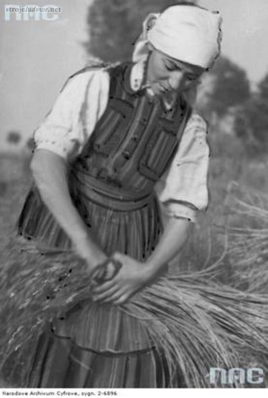 Rolniczka spod Opoczna w stroju ludowym wiąże zboże w snopy, 1944 r., Narodowe Archiwum Cyfrowe