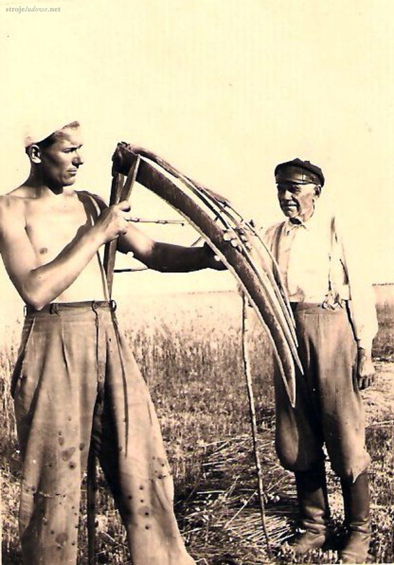 Stanisław Gawrychowski z ojcem Aleksandrem, Wola Zambrowska, okres międzywojenny, własność prywatna