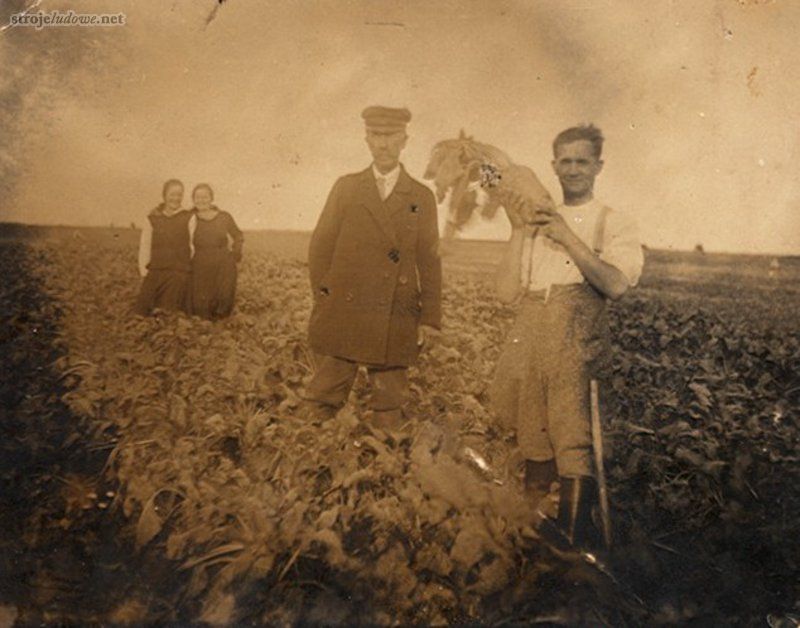 Na polu buraczanym, Sokoły, ok. 1915 r., ze zbiorów Muzeum Północno-Mazowieckiego w Łomży

W bogatszych wsiach drobnoszlacheckich, w okresie żałoby narodowej po powstaniu styczniowym, najpowszechniej noszonymi świątecznymi okryciami wierzchnimi były czarne <em>czamary</em> (o kroju zbliżonym do kontusza, ale bez wylotów, z leżącym wykładanym kołnierzem i szamerowanym zapięciem) oraz surduty (długie do kolan, przeważnie o dwurzędowym zapięciu, z kołnierzem stójką lub wykładanym). Z czasem zastąpiły je wcięte w pasie i zapinane na pętlice, szyte z ciemnego sukna <em>bekiesze</em>, które wyszły z mody pod koniec okresu międzywojennego, ale starsi mężczyźni donaszali je jeszcze w pierwszych latach po II wojnie światowej.